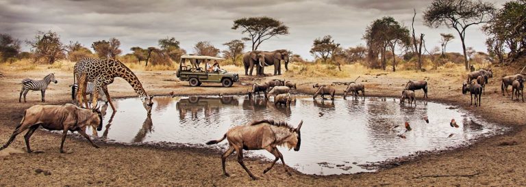 Game-Drive-Safari-in-Serengeti-national-parksss-1400×500